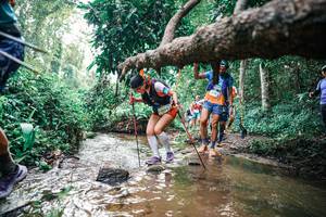 BIB: 
                            <button type="button" onclick="openModal(25369042)" class="btn btn-primary btn-sm float-right btn-popup" data-toggle="modal" data-target=".modal-high-quality">
                        <i class="fas fa-shopping-cart"></i> Add to Cart
                    </button>
                                            <button type="button" onclick="isThisMe(25369042, true)" class="btn btn-success btn-sm float-right btn-popup btn-isme hidden" data-toggle="tooltip" data-placement="bottom" title="นี่คือรูปของคุณใช่ไหม คลิกที่นี่เพื่อเอาเข้าอัลบั้ม">
                        <i class="fas fa-plus"></i> Add to album
                    </button>
                    <button type="button" onclick="isThisMe(25369042, false)" class="btn btn-warning btn-sm float-right btn-popup btn-isnotme hidden">
                        <i class="fas fa-ban"></i> Remove from album
                    </button>